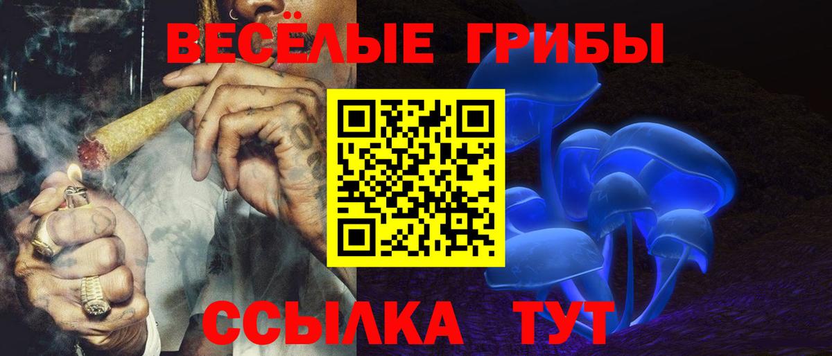 Галлюциногенные грибы MAGIC MUSHROOMS  наркота  Калуга  Вход с VPN 
